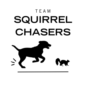 Squirrel Chasers
